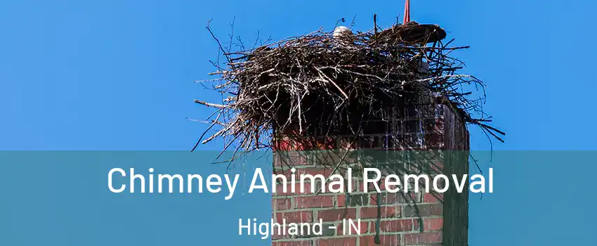  Chimney Animal Removal Highland - IN