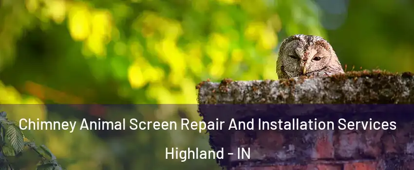  Chimney Animal Screen Repair And Installation Services Highland - IN