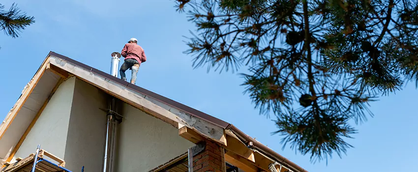 Birds Removal Contractors from Chimney in Highland, IN