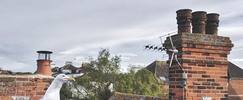 Chimney Cleaning And Restoration in Highland, Indiana